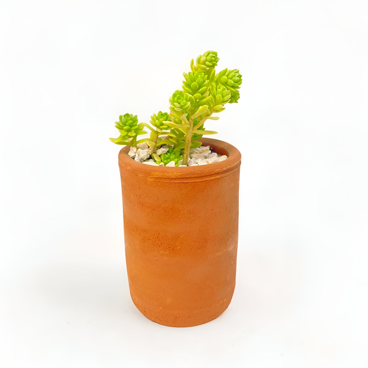Maceta Tubular Pequeña