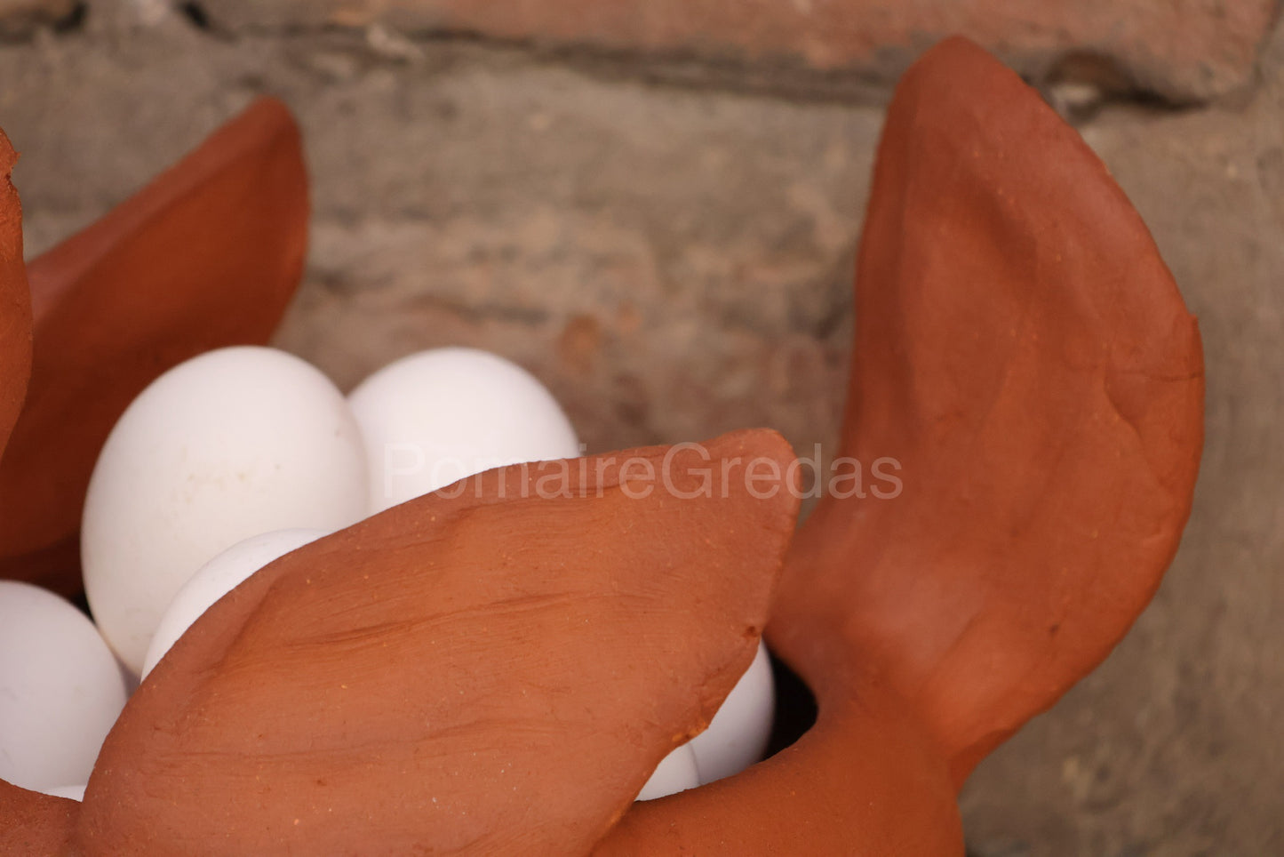 Gallina para huevos