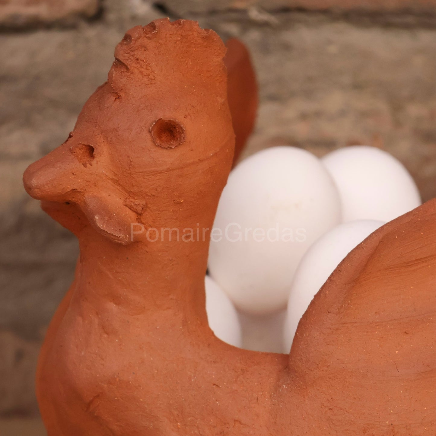 Gallina para huevos