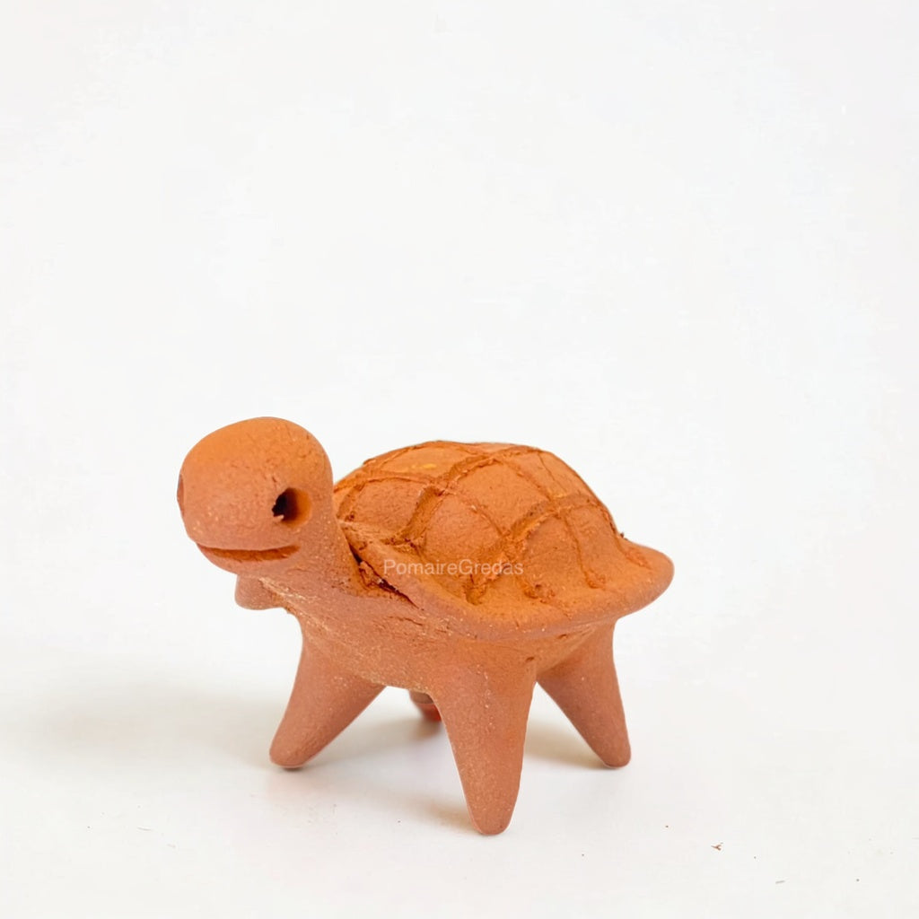 Mini tortuga