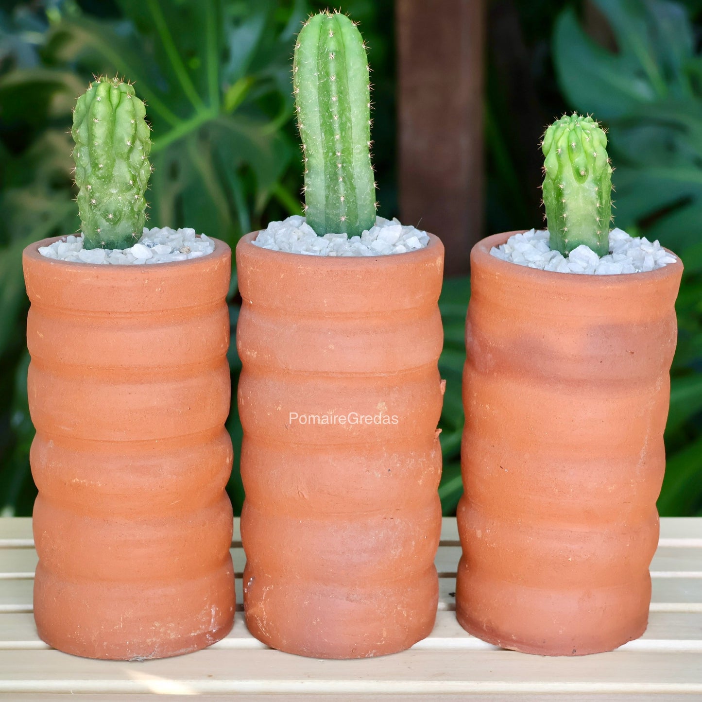 Pack 3 Macetas Curvas