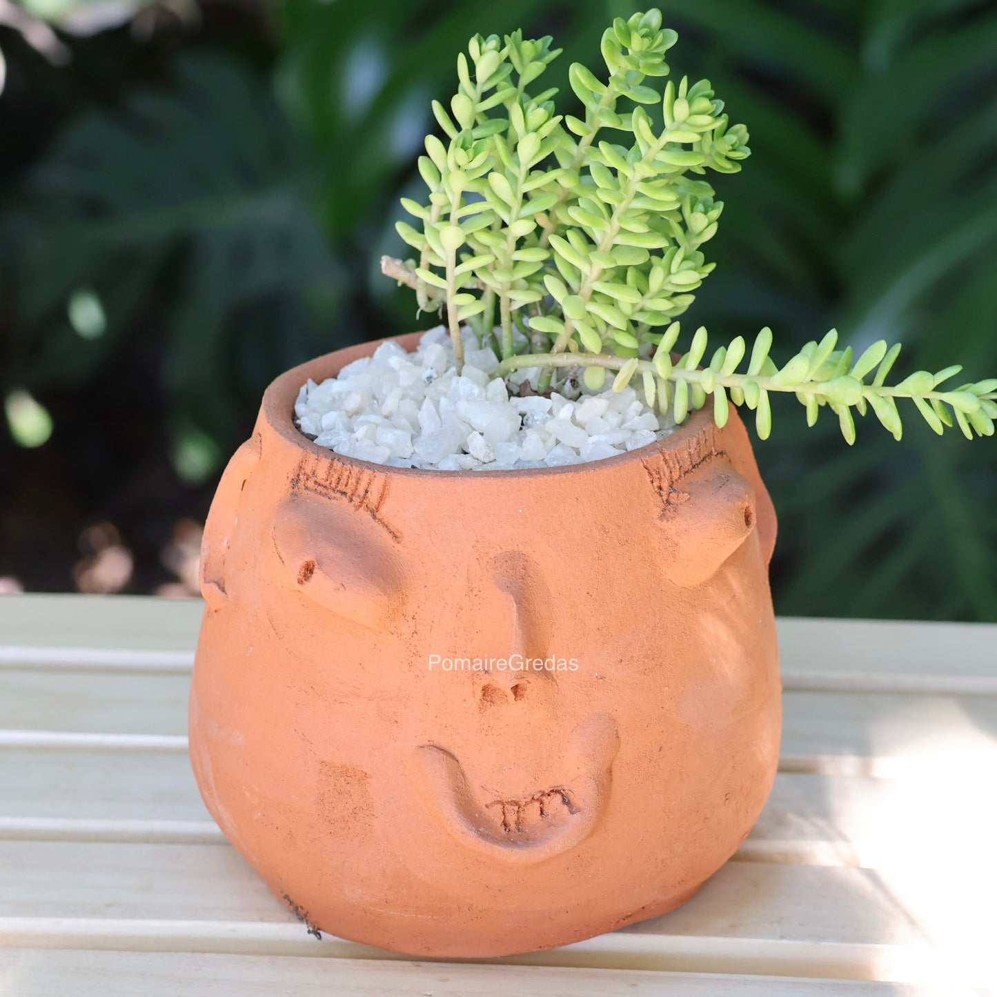 Maceta Rostro
