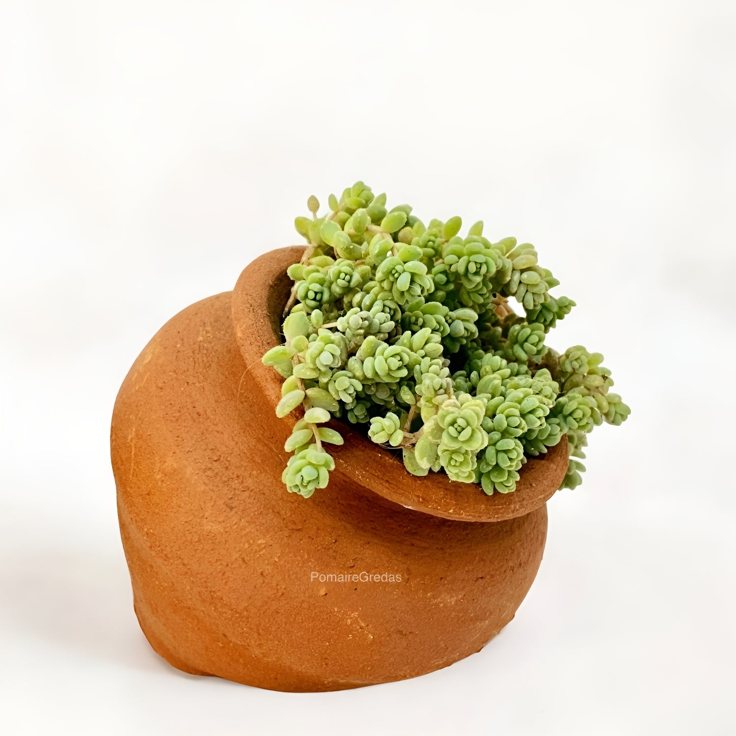 Maceta Mini Tina