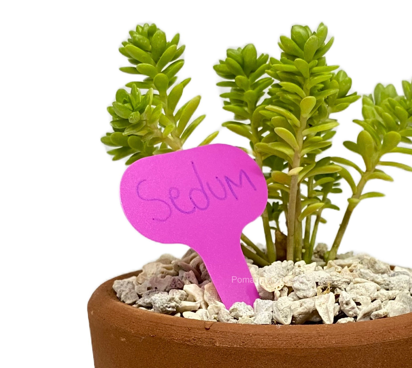 3 Etiquetas para plantas