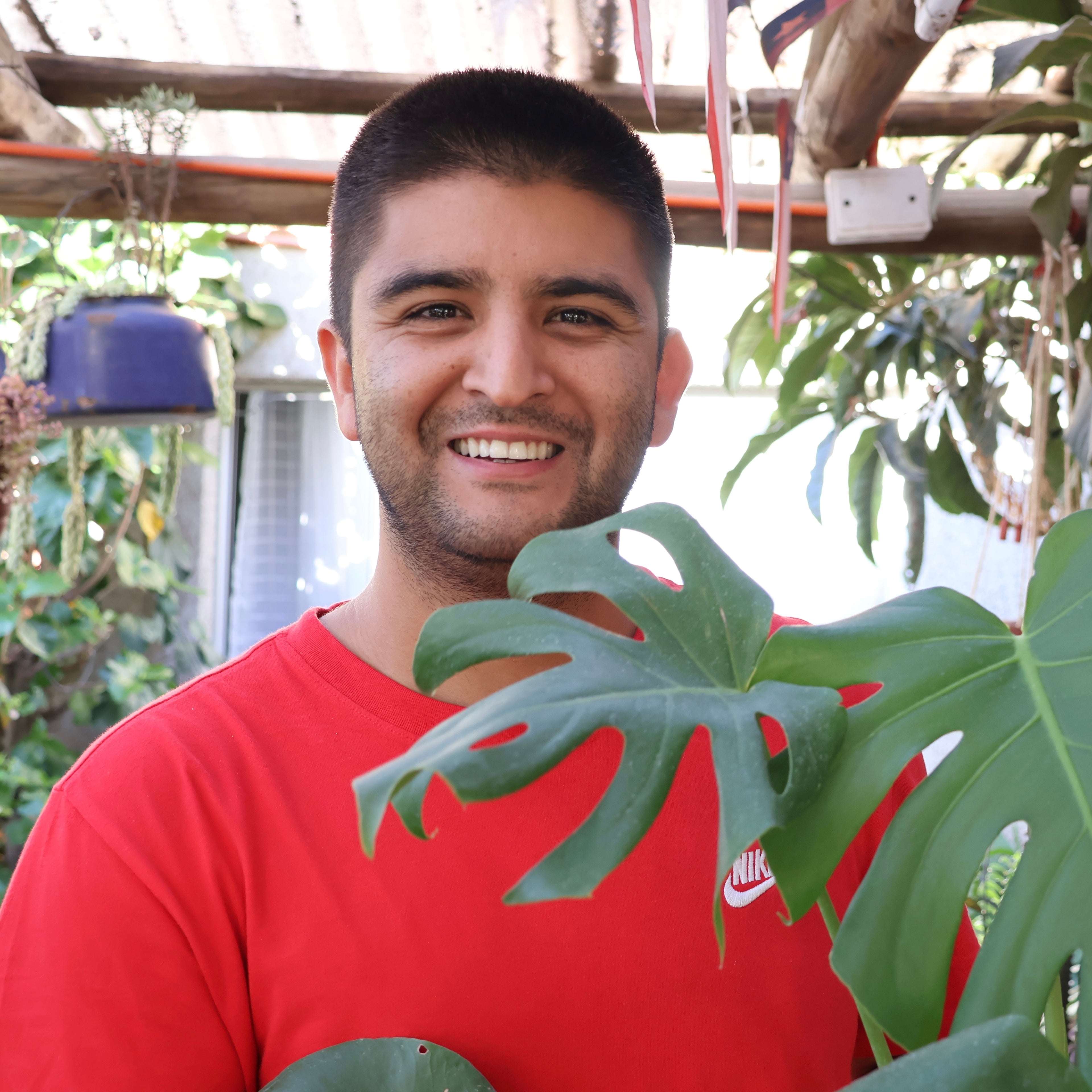 ¿Quién está detrás de POMAIREGREDAS?