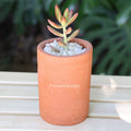 Maceta Tubular Pequeña