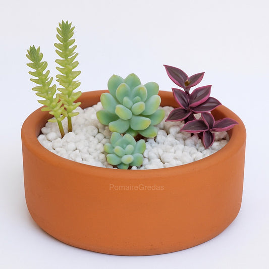 Suculentero 35x15cm