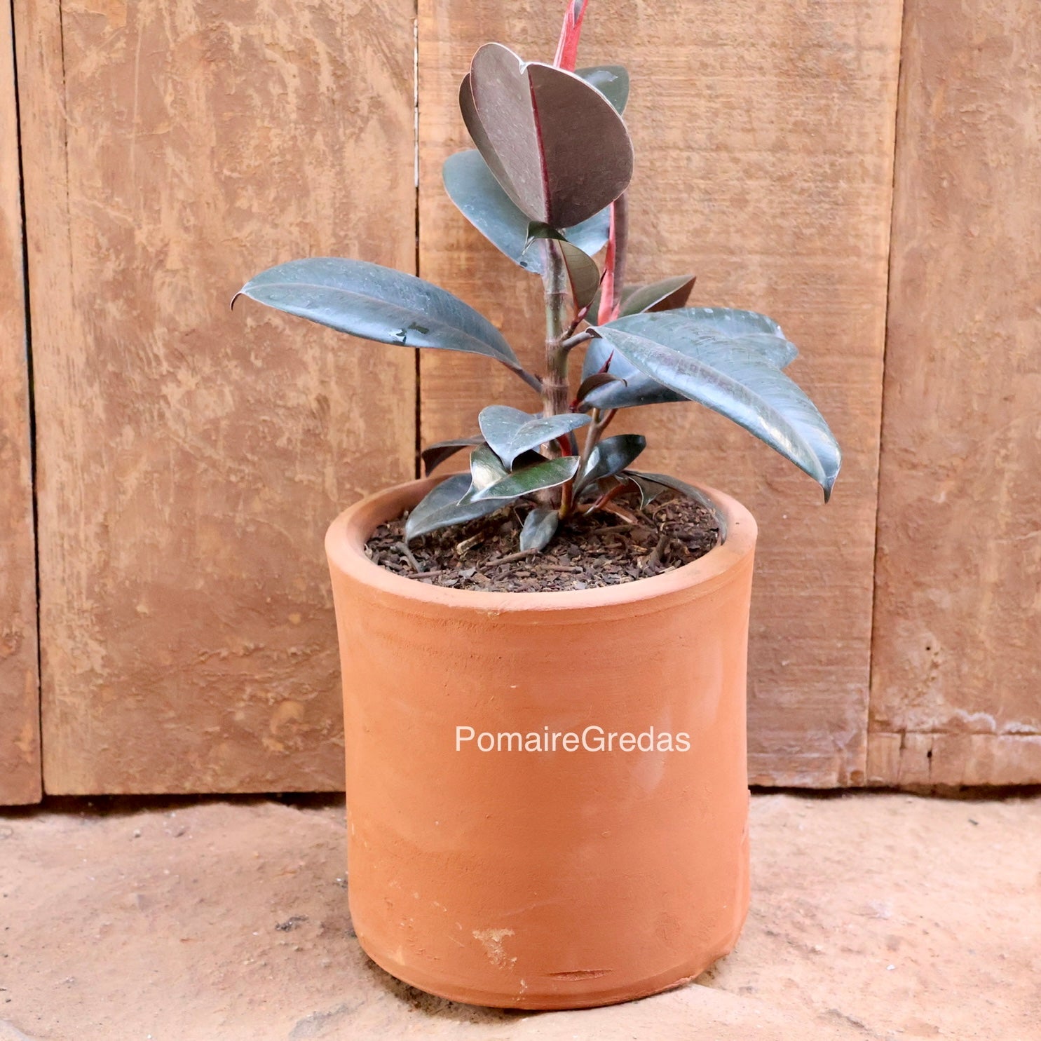 Maceta recta 20x20cm