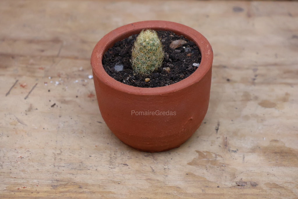 Maceta Mini Recta 1