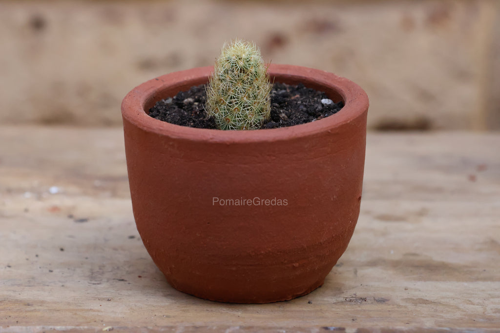 Maceta Mini Recta 1