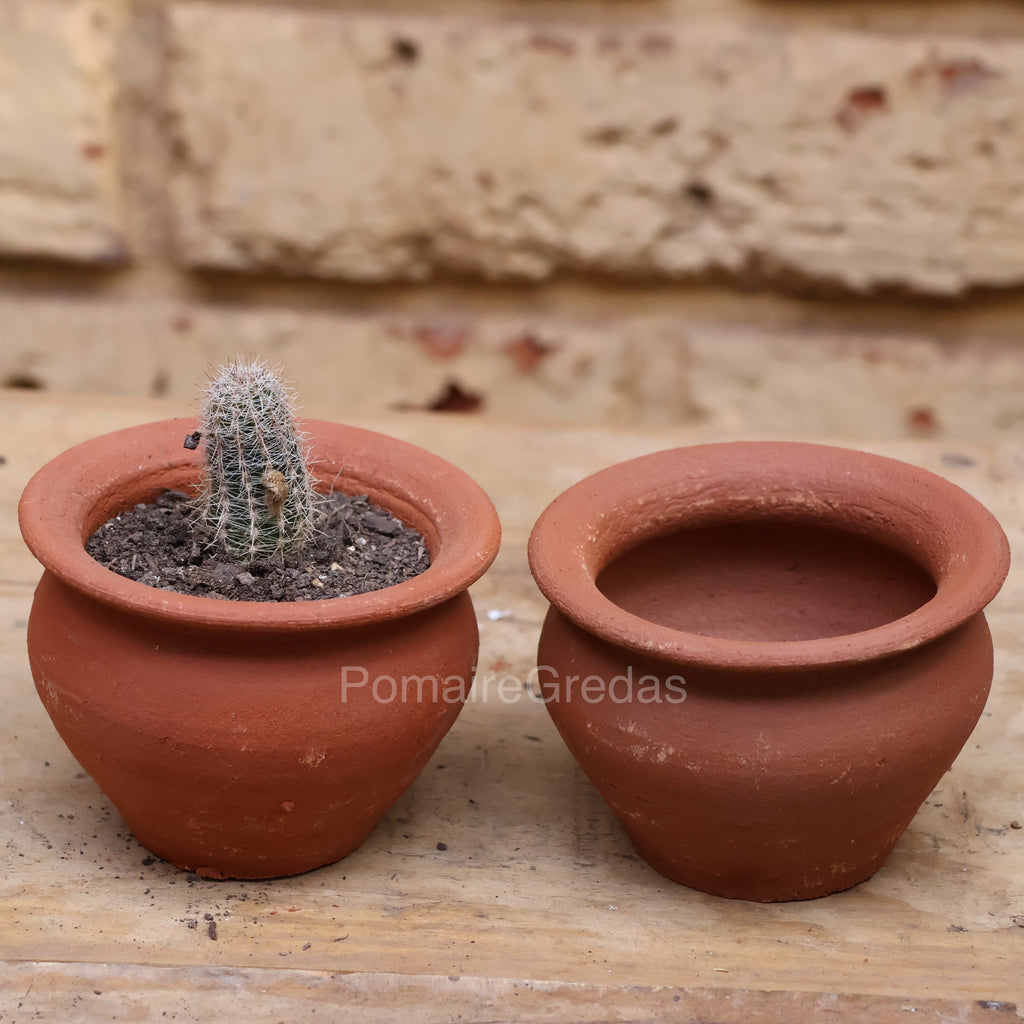Maceta Pitufo