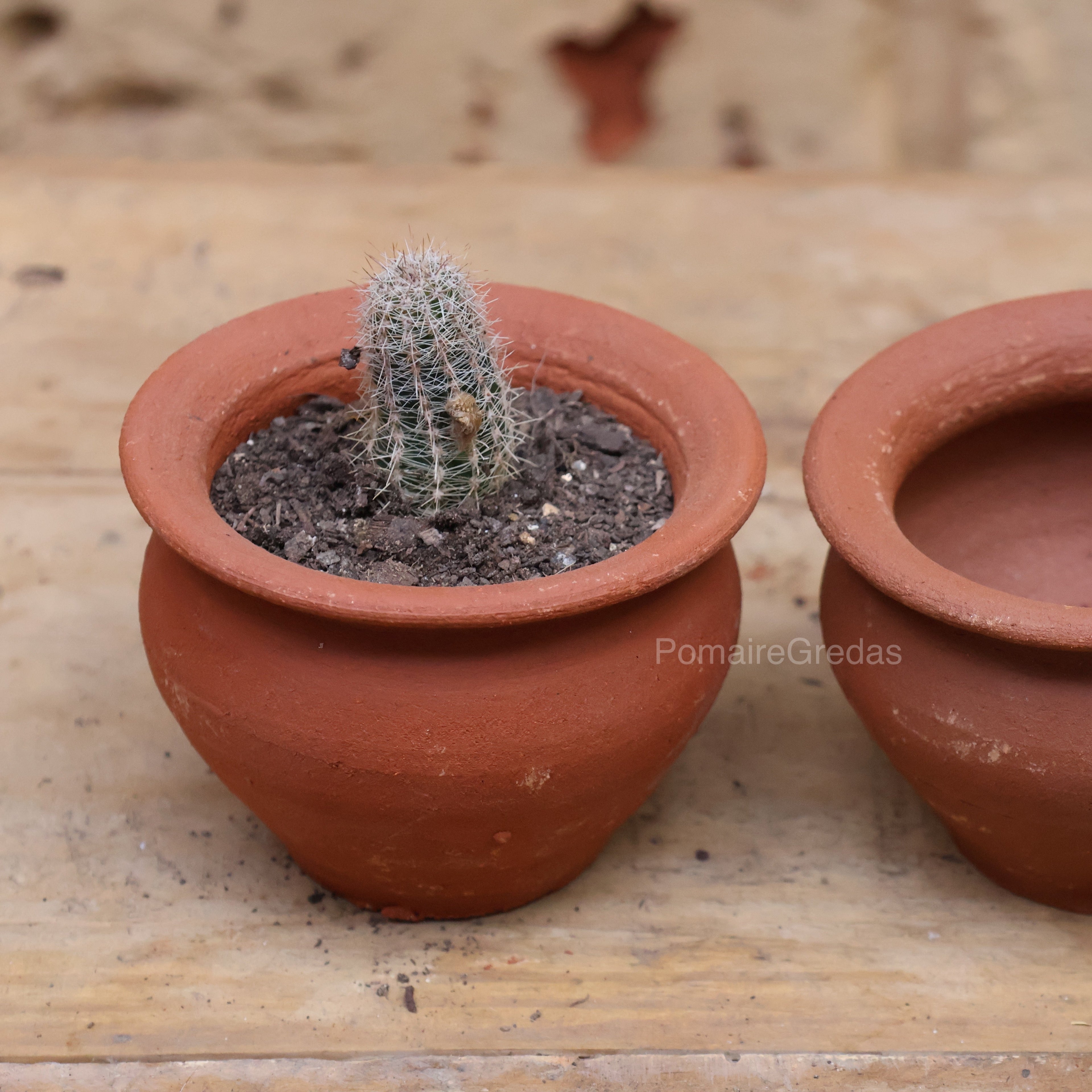 Maceta Pitufo