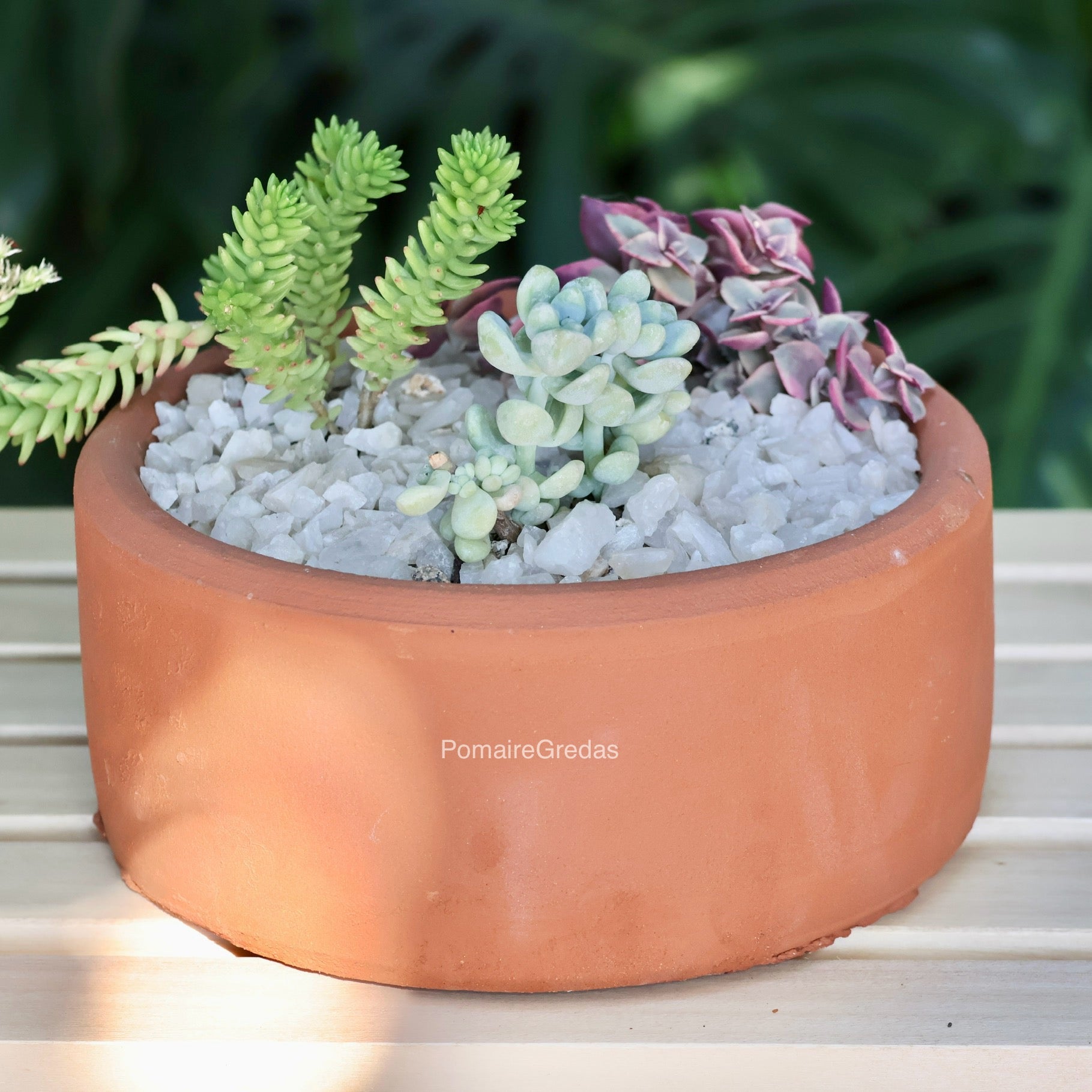 Suculentero 17x8,5cm