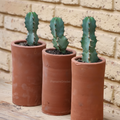 Maceta tubular