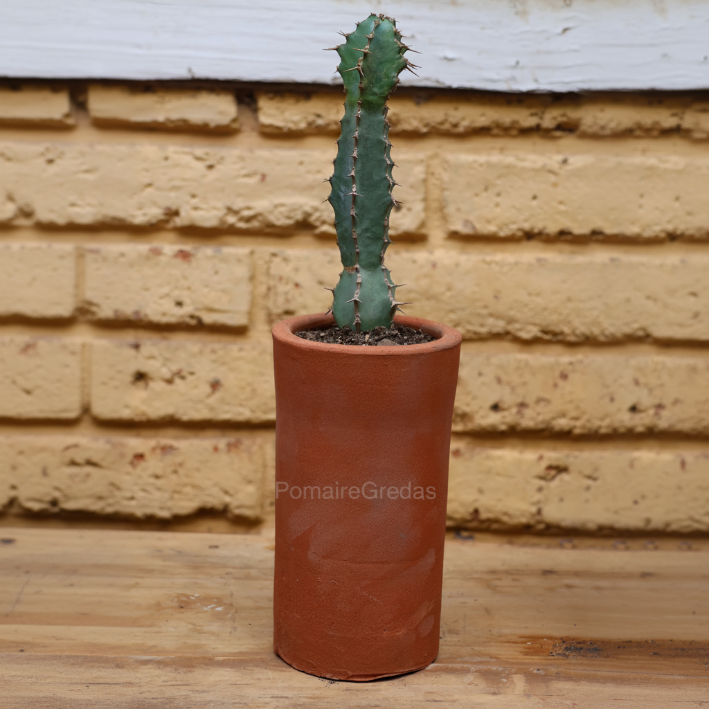 Maceta tubular